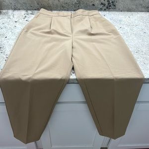 Zara pants